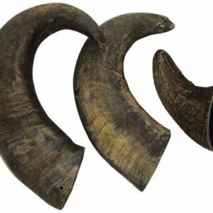 Buffalo Horns