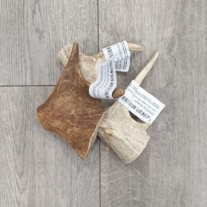 Fallow Deer Antler