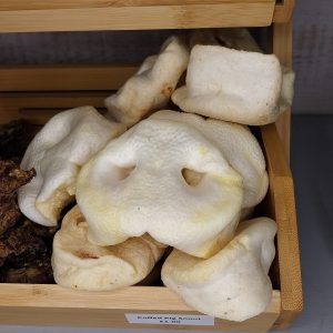Puffed Pig Snout (Loose)